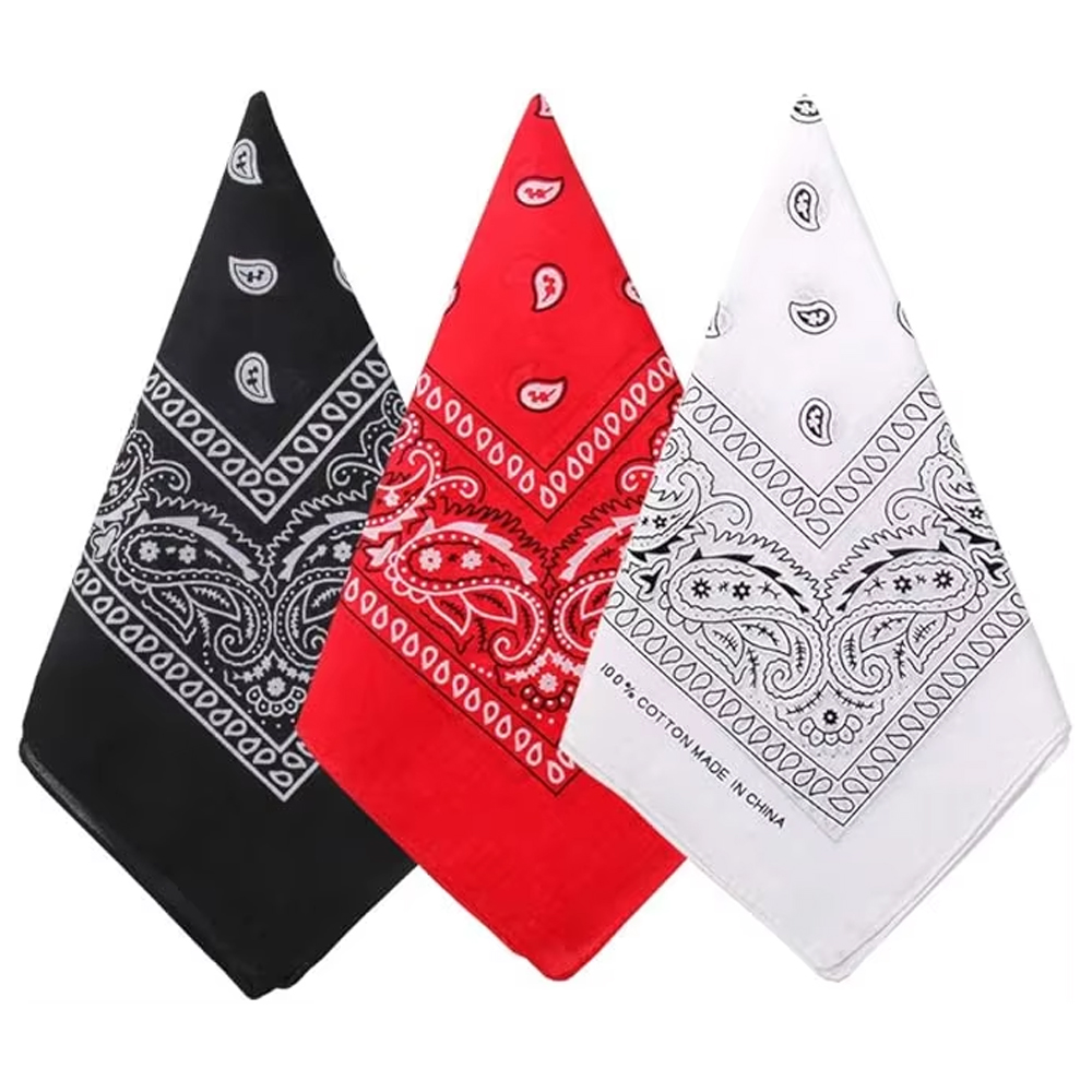 Hip Hop Cowboy Paisley Sjaal G - Bandana Blank White recensie en prijs